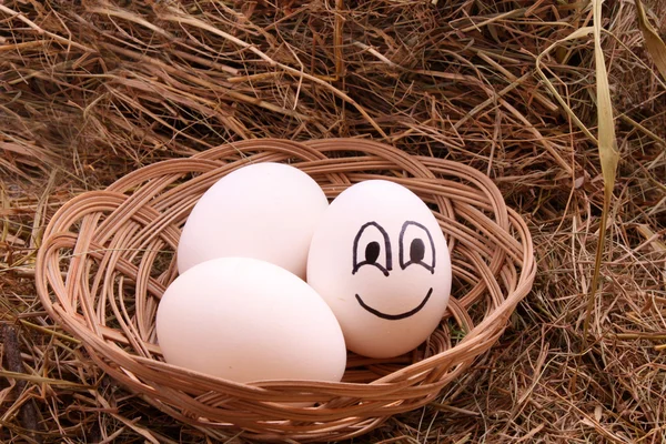Huevos sobre el heno — Stockfoto
