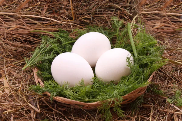Αυγά στο σανό — Φωτογραφία Αρχείου