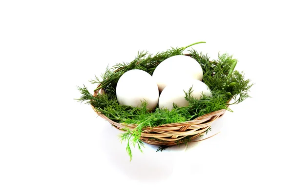 Яйца в гнезде изолированы — стоковое фото