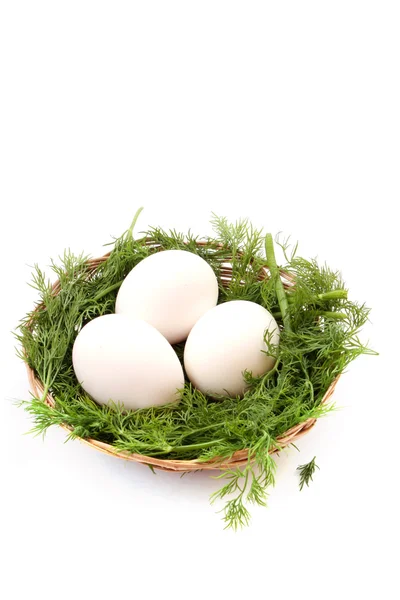 Uova isolate nel nido — Foto Stock
