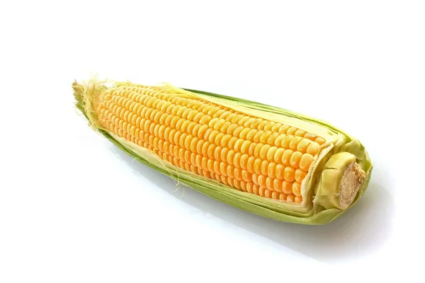 Кукурузы изолированы на белом — стоковое фото