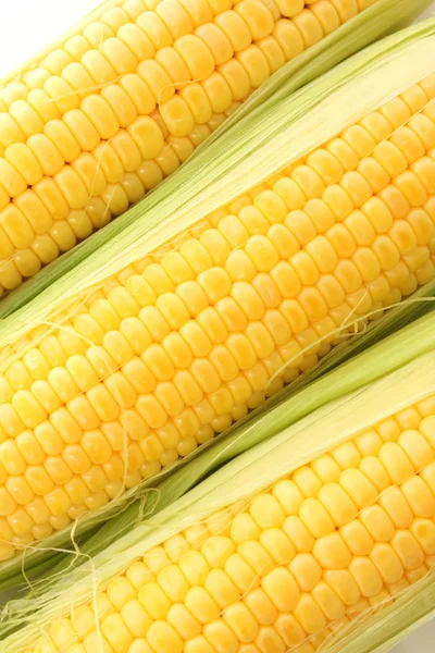 Three corns isolated on white — Stock Photo, Image