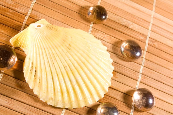 Shell och pärlor på bambu strån bakgrund — Stockfoto