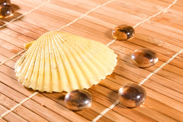 Shell e pedras preciosas no fundo palhas de bambu — Fotografia de Stock