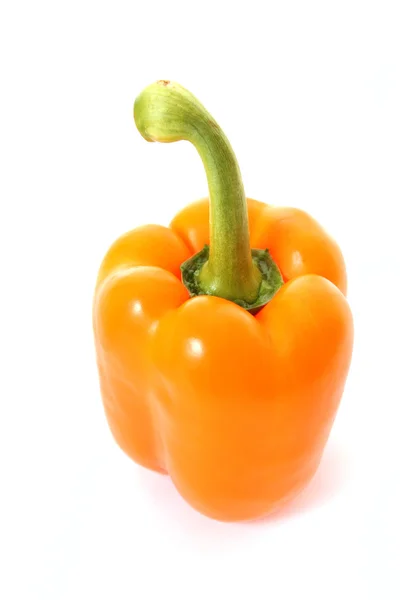 Oranje peper op witte achtergrond — Stockfoto