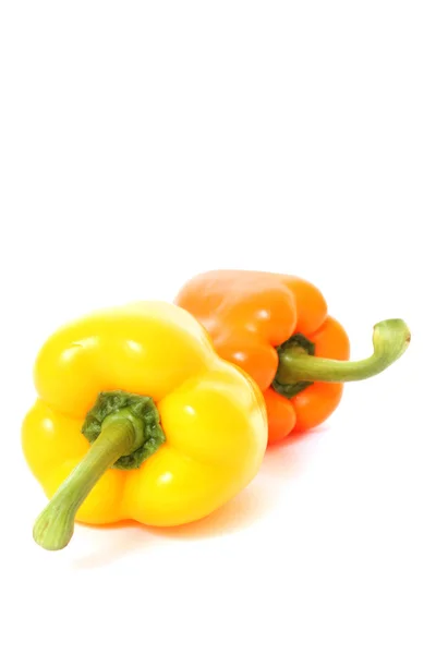 Narancssárga színű paprika, fehér háttér — Stock Fotó