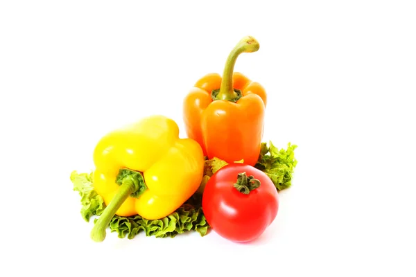 Verduras frescas sobre fondo blanco — Foto de Stock