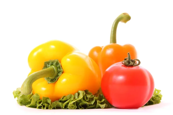 Verduras frescas sobre fondo blanco — Foto de Stock