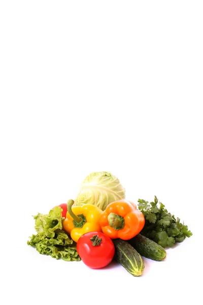 白を基調とした新鮮な野菜 — ストック写真