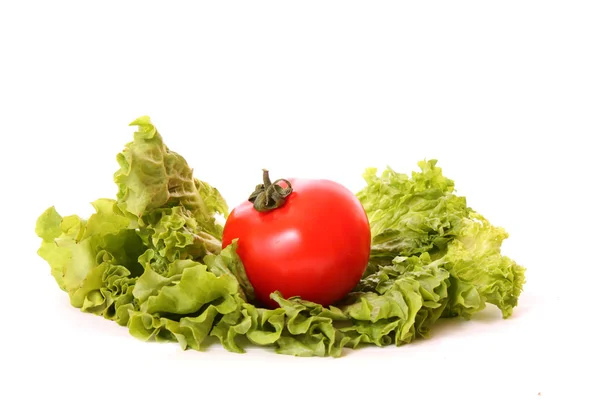 Świeże pomidory czerwone mokre — Zdjęcie stockowe