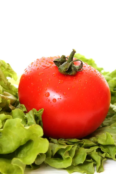 Tomates de weet vermelho fresco — Fotografia de Stock