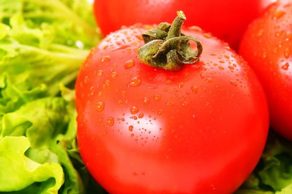 Ferske, røde, våte tomater – stockfoto