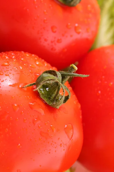 Tomates dulces rojos frescos — Foto de Stock