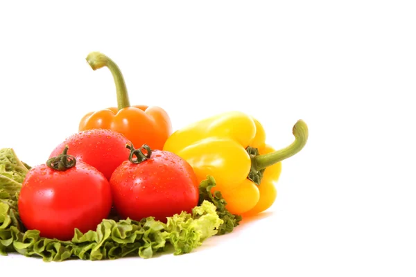Diferentes verduras frescas sobre fondo blanco — Foto de Stock