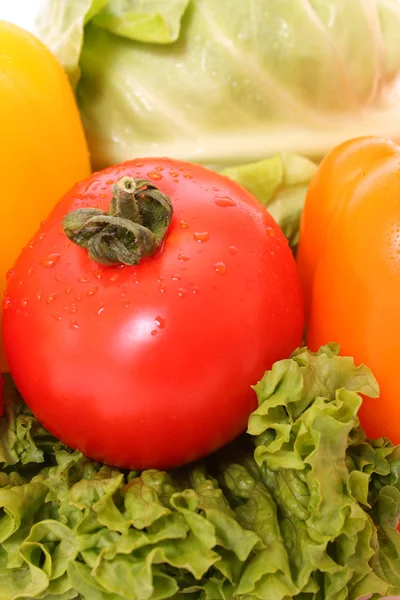 Frische rote feuchte Tomaten — Stockfoto