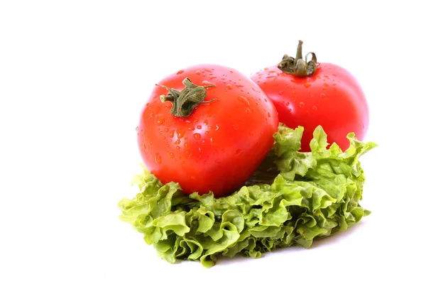 Fresh Red wet Tomatoes — Stock Photo, Image