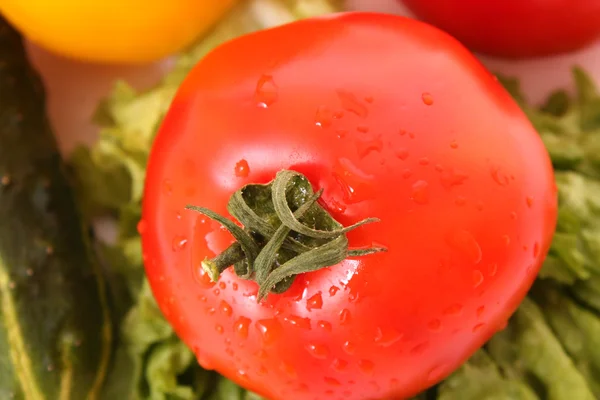 Fresh Red wet Tomato — Stock Photo, Image