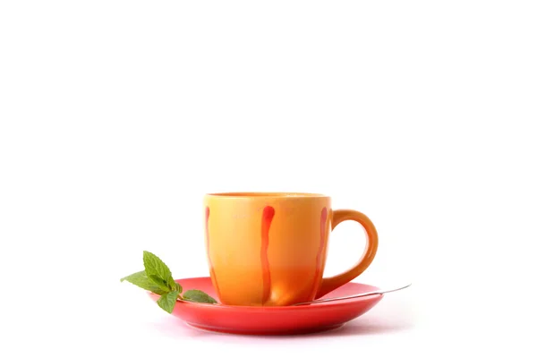 Tasse grüner Tee auf der Untertasse mit Minze — Stockfoto