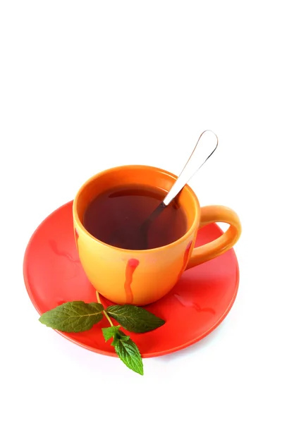 Kop van groene thee op de schotel met munt — Stockfoto
