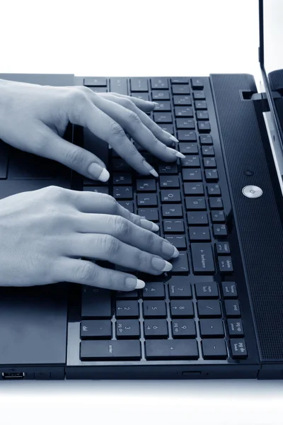 Feminino trabalhando no laptop — Fotografia de Stock