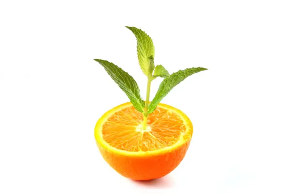 Arance e foglie di menta su bianco — Foto Stock