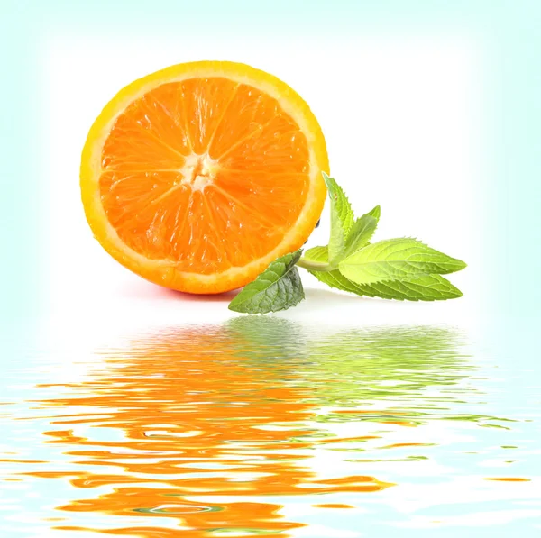 Portakal ve beyaz üzerine nane yaprakları — Stok fotoğraf