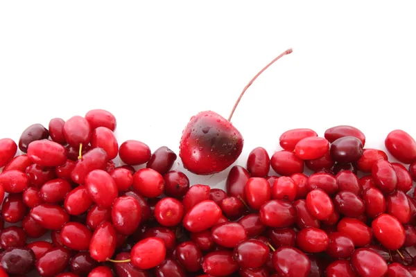 Cranberries beyaz zemin üzerine — Stok fotoğraf