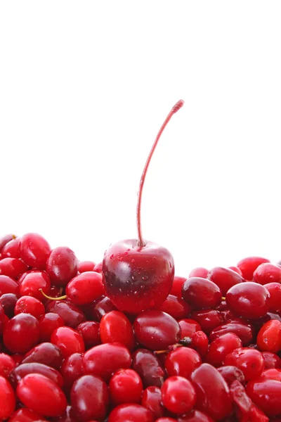 Cherry a brusinkami na bílém pozadí — Stock fotografie