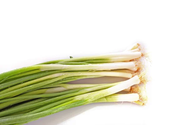Onion on the white background — Stock Photo, Image
