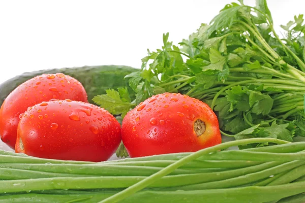 Collection of vegetables on white — Stock Photo, Image