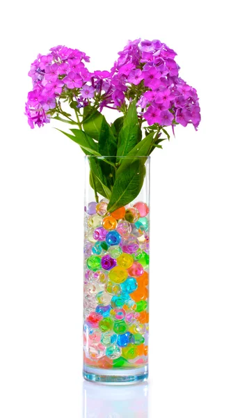 Beautiful flowers in vase with hydrogel — Stock Photo, Image