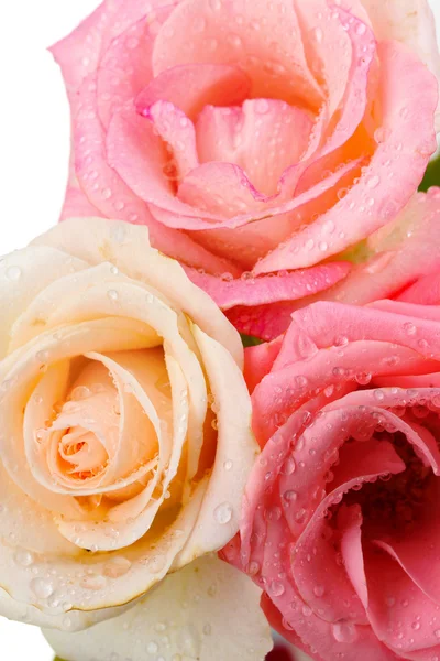 3 つの美しいバラ closup — ストック写真
