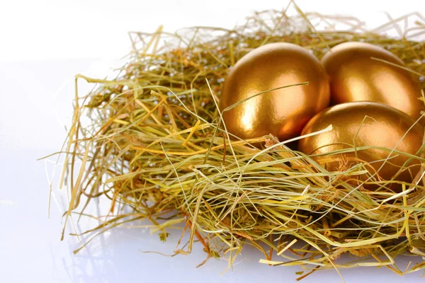 Uova d'oro nel nido — Foto Stock