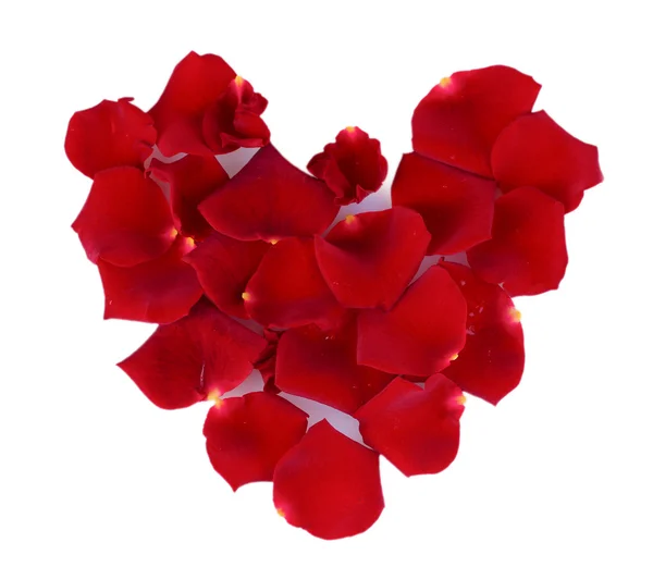 Red rose petals isolated on white — Stock Photo, Image