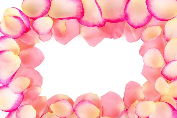핑크 장미 꽃잎 흰색 절연 — 스톡 사진