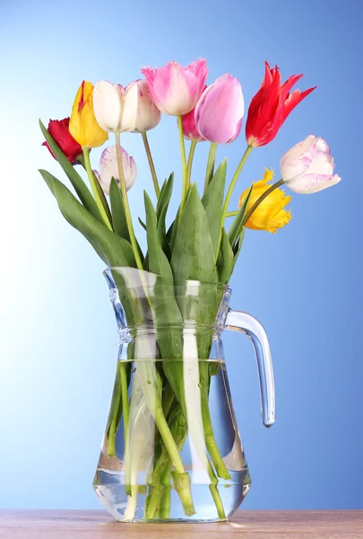 Tulpen in vaas op blauwe achtergrond — Stockfoto