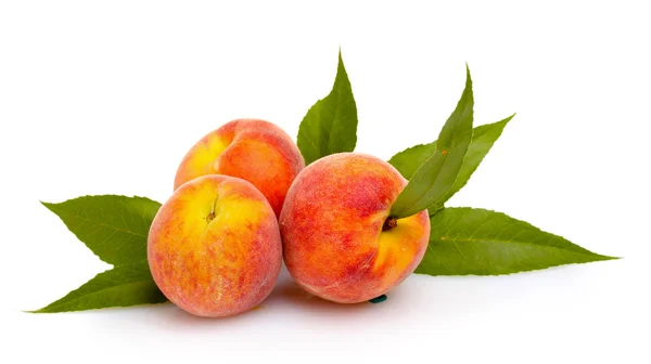 Färska persikor — Stockfoto