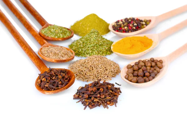 Spices in the spoons — Stock Photo, Image
