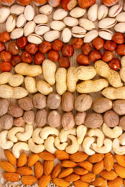 Nutmeg, peanuts, hazelnuts and almonds — Stock Photo, Image