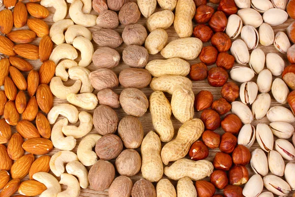 Muskot, jordnötter, hasselnötter och mandlar — Stockfoto
