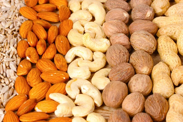 Muskotti, maapähkinät, hasselpähkinät ja mantelit — kuvapankkivalokuva