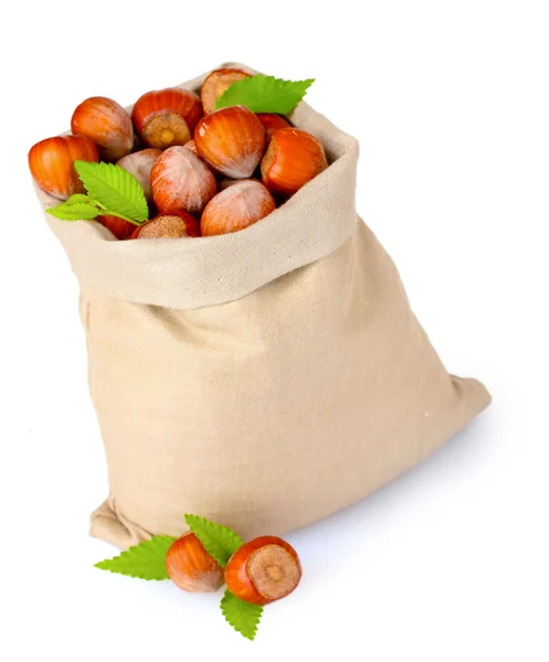 Hasselnötter i väska — Stockfoto