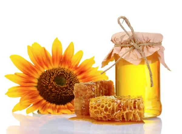 Bonitos peines, miel y girasol —  Fotos de Stock