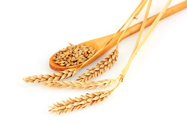 Pšenice v lžíci izolovaných na bílém — Stock fotografie