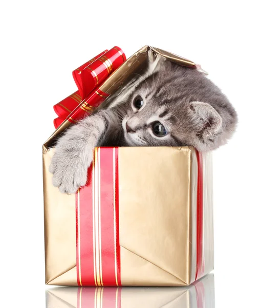 Funny kitten in golden gift box isolated on white — Stock Photo, Image