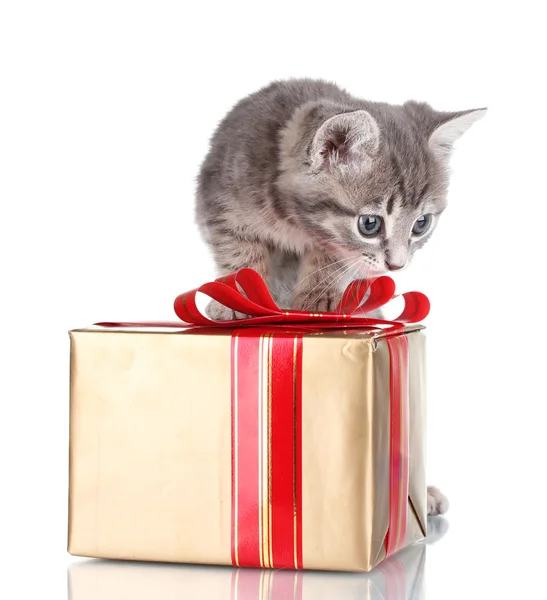 Funny kitten and golden gift box isolated on white — Stock Photo, Image