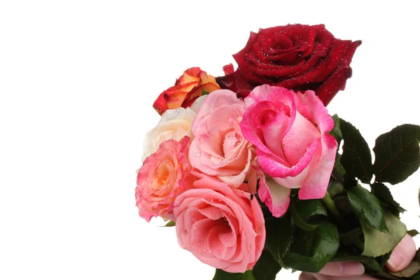 Buquê de belas rosas isoladas em branco — Fotografia de Stock