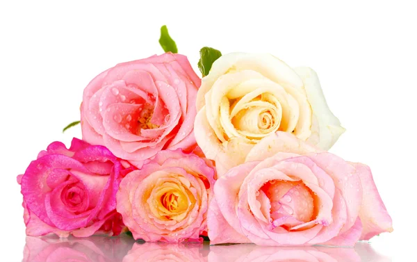 Bouquet de belles roses isolé sur blanc — Photo