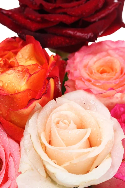 Ramo de hermosas rosas de primer plano —  Fotos de Stock
