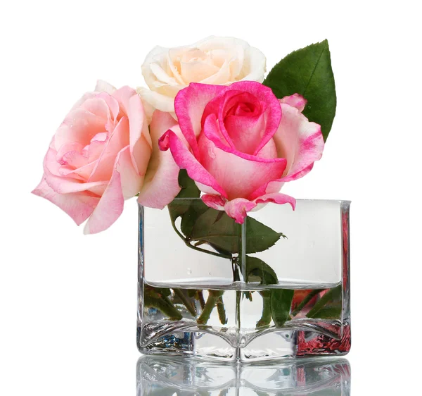 Three roses in transparent vase isolated on white — Stock Photo, Image